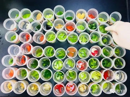 武漢節前農產品質量安全獲堅實保障，189批次抽檢結果全數合格